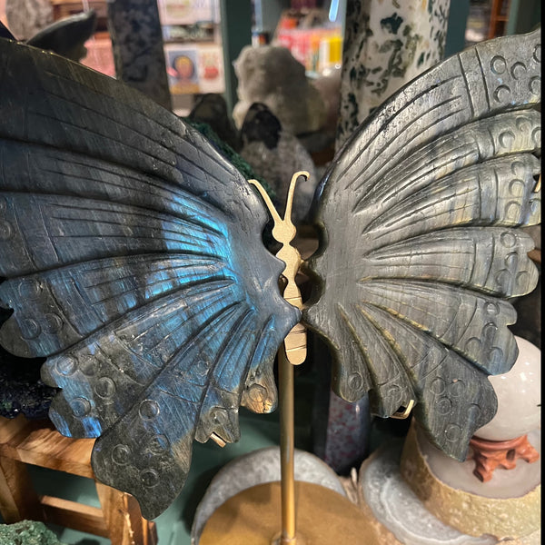 Labradorite Butterfly Wings Carving Set with Brass Stand