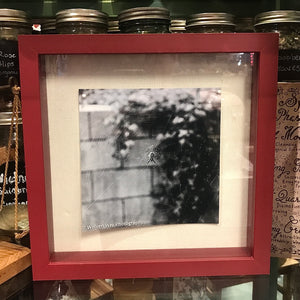 “Web” by Wolven Way Photography Framed Photograph