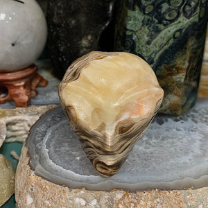 Chocolate Jasper Alien Head Carving