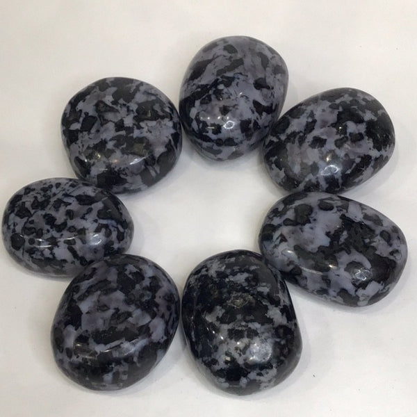 Indigo Gabbro (Merlinite) Palm Stone