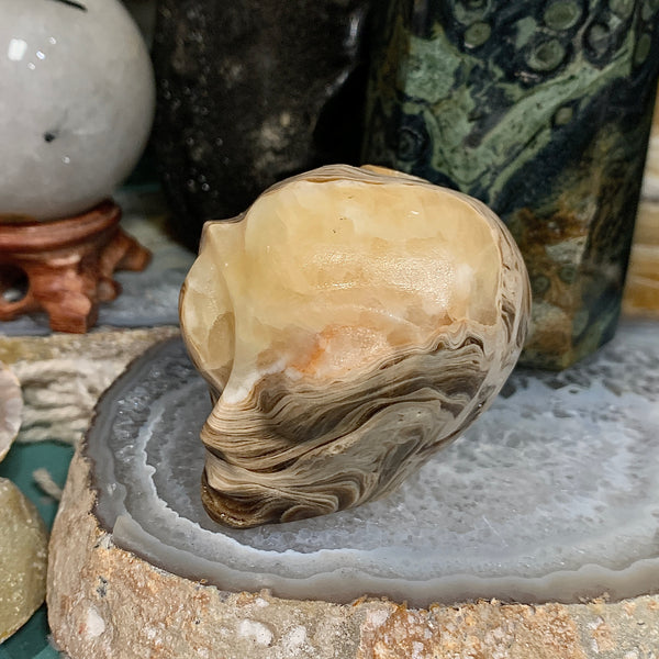 Chocolate Jasper Alien Head Carving