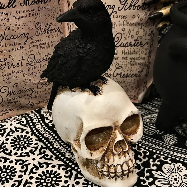 Raven Mounted on Skull Resin Statue 6 Inch
