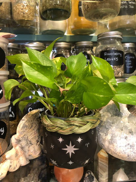 Matte Black Celestial Stars Plant Pot