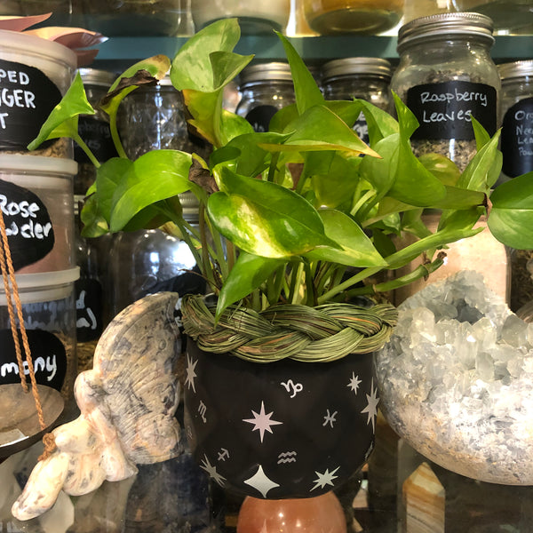 Matte Black Celestial Stars Plant Pot