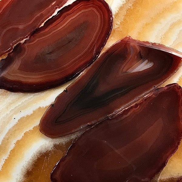 Banded Agate Slice