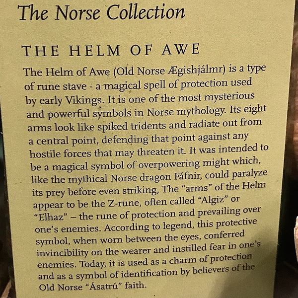 Helm of Awe Bronze Pendant Necklace