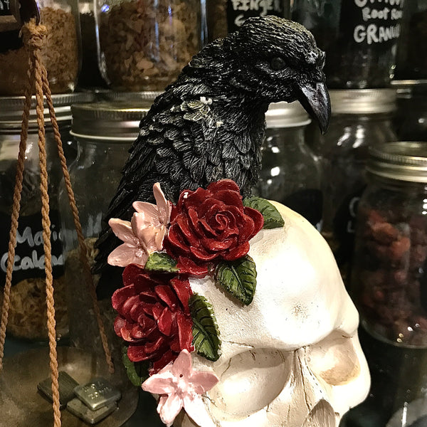 Crow Topped Pearl Finish Skull