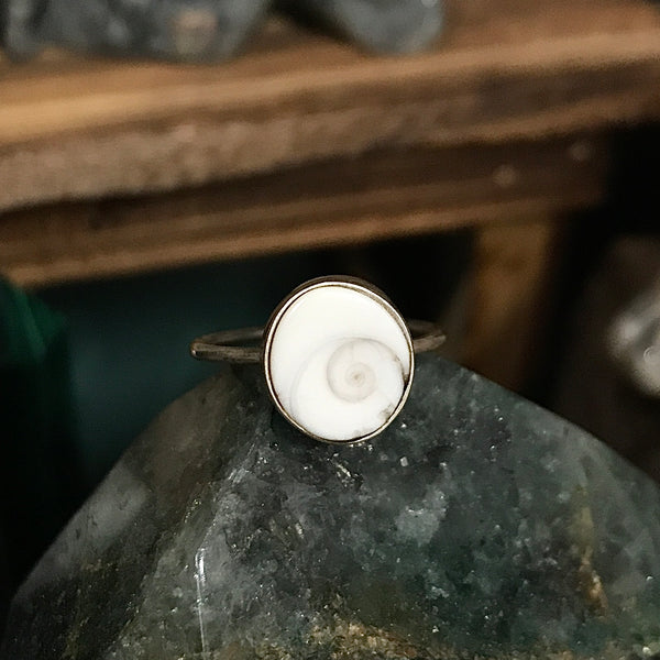 Shiva Shell Ring