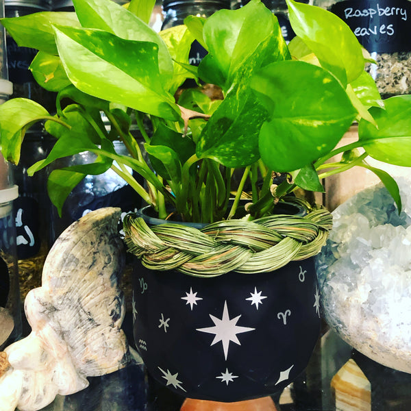 Matte Black Celestial Stars Plant Pot