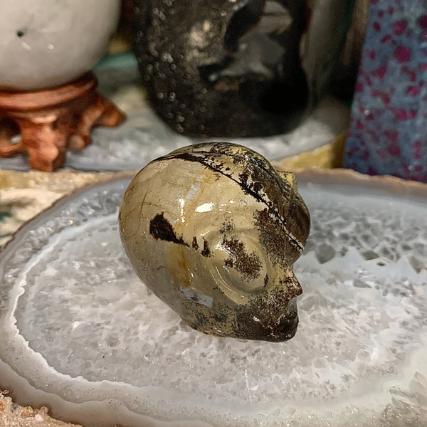 Picture Jasper Alien Head Carving