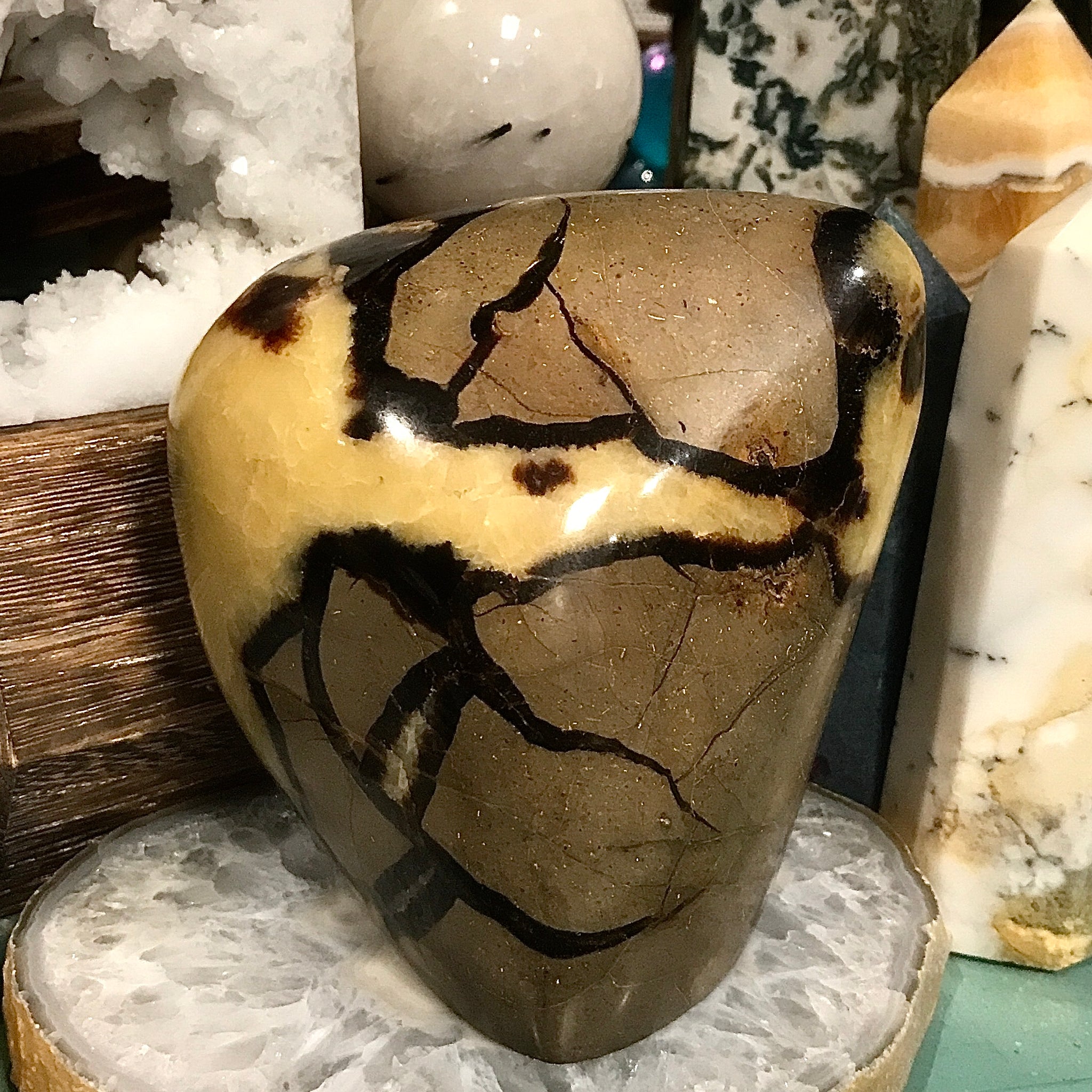 Septarian Cut Base Polished Freeform 1.34 Kilo