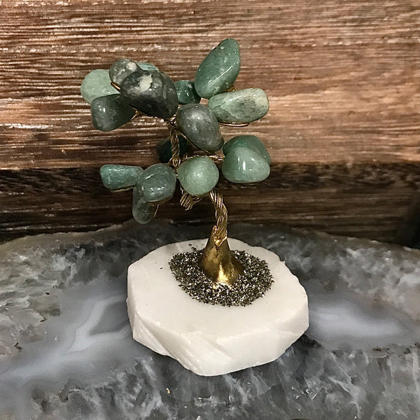 Mini Money Tree