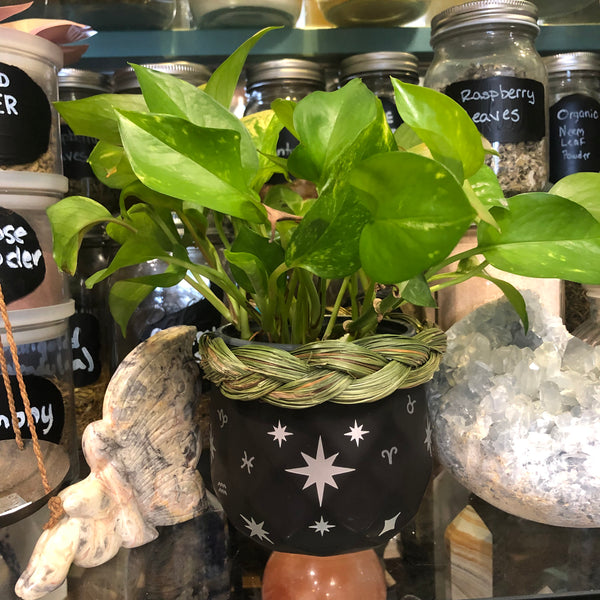 Matte Black Celestial Stars Plant Pot