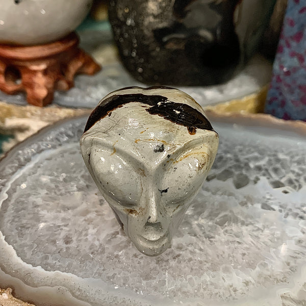 Picture Jasper Alien Head Carving