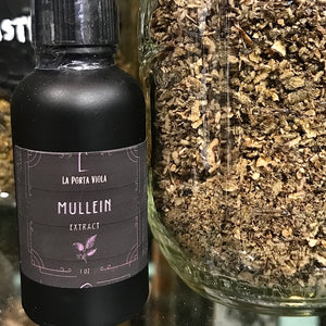 Mullein Well Cane Extract  1 Oz