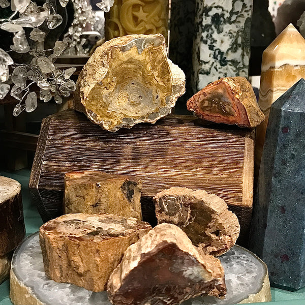 Petrified Wood Stump