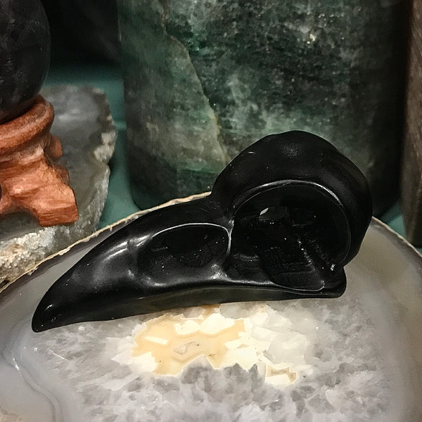 Raven Skull in Black Obsidian