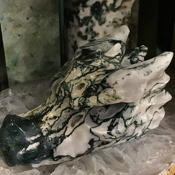 Tree Agate Dragon Head Carving