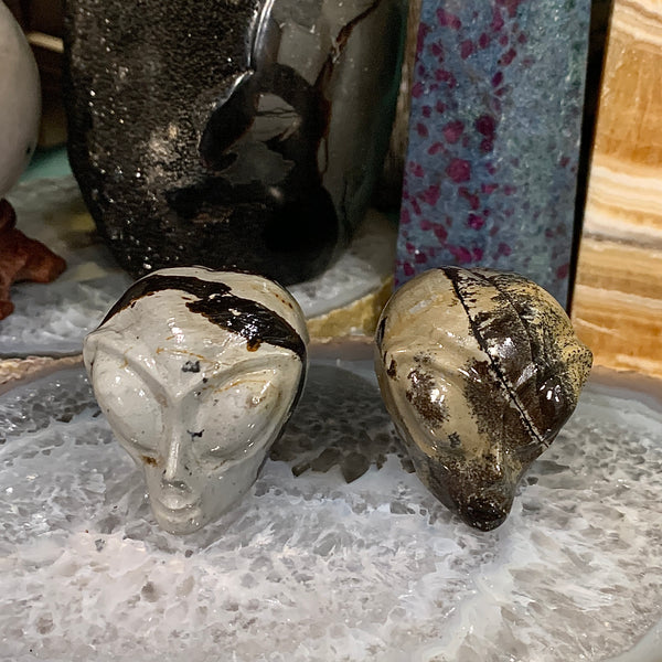 Picture Jasper Alien Head Carving