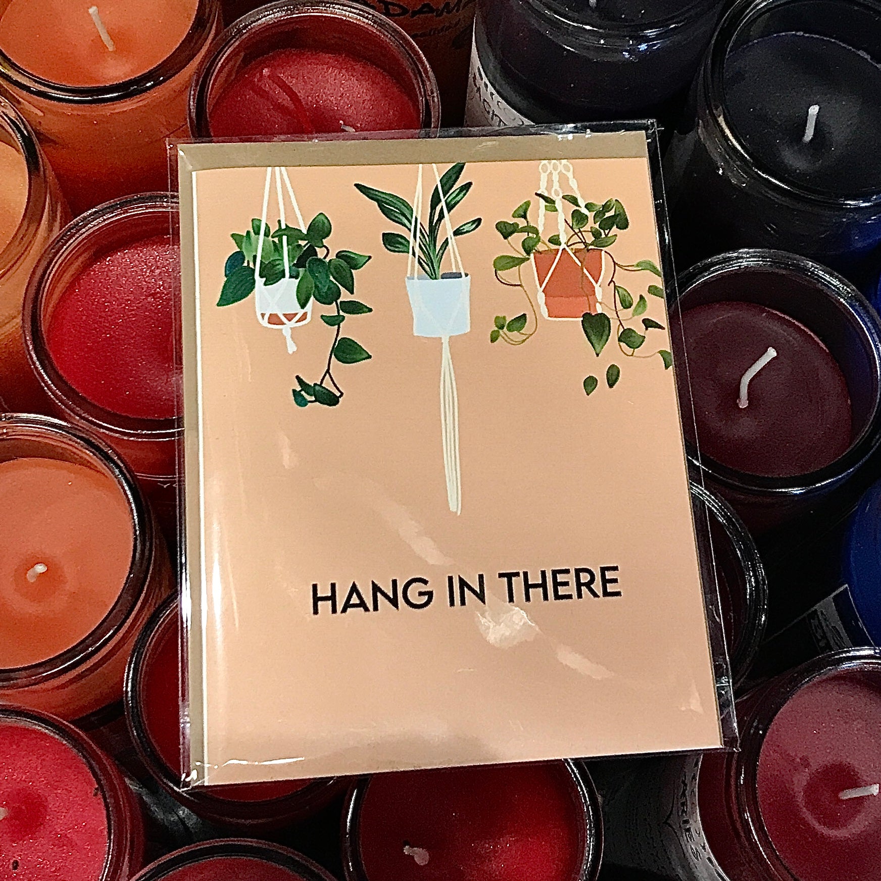 Hang In There Plants by 9th Letter Press