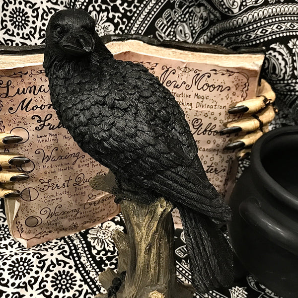Raven Mounted on Branch Resin Statue - 10.83 inch