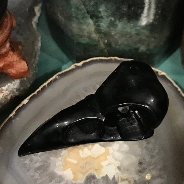 Raven Skull in Black Obsidian