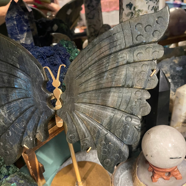 Labradorite Butterfly Wings Carving Set with Brass Stand