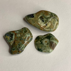 Rainforest Rhyolite Pocket Stone
