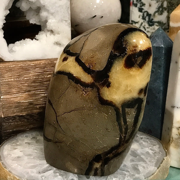 Septarian Cut Base Polished Freeform 1.34 Kilo