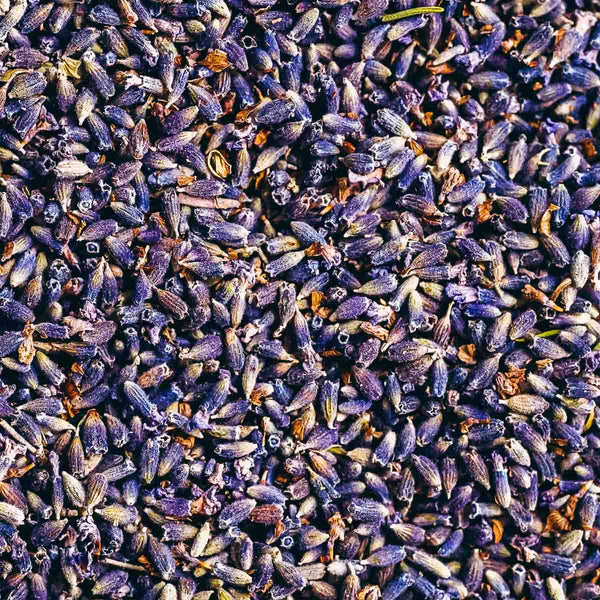 Loose Lavender