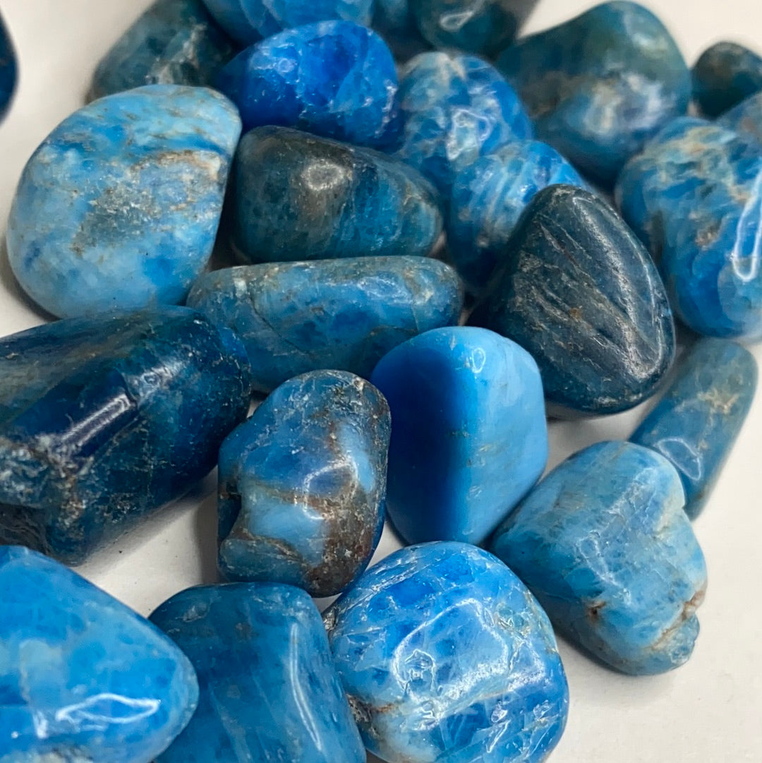 Tumbled Blue Apatite Pocket Stone