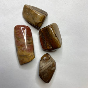 Tumbled Petrified Wood pocket stone