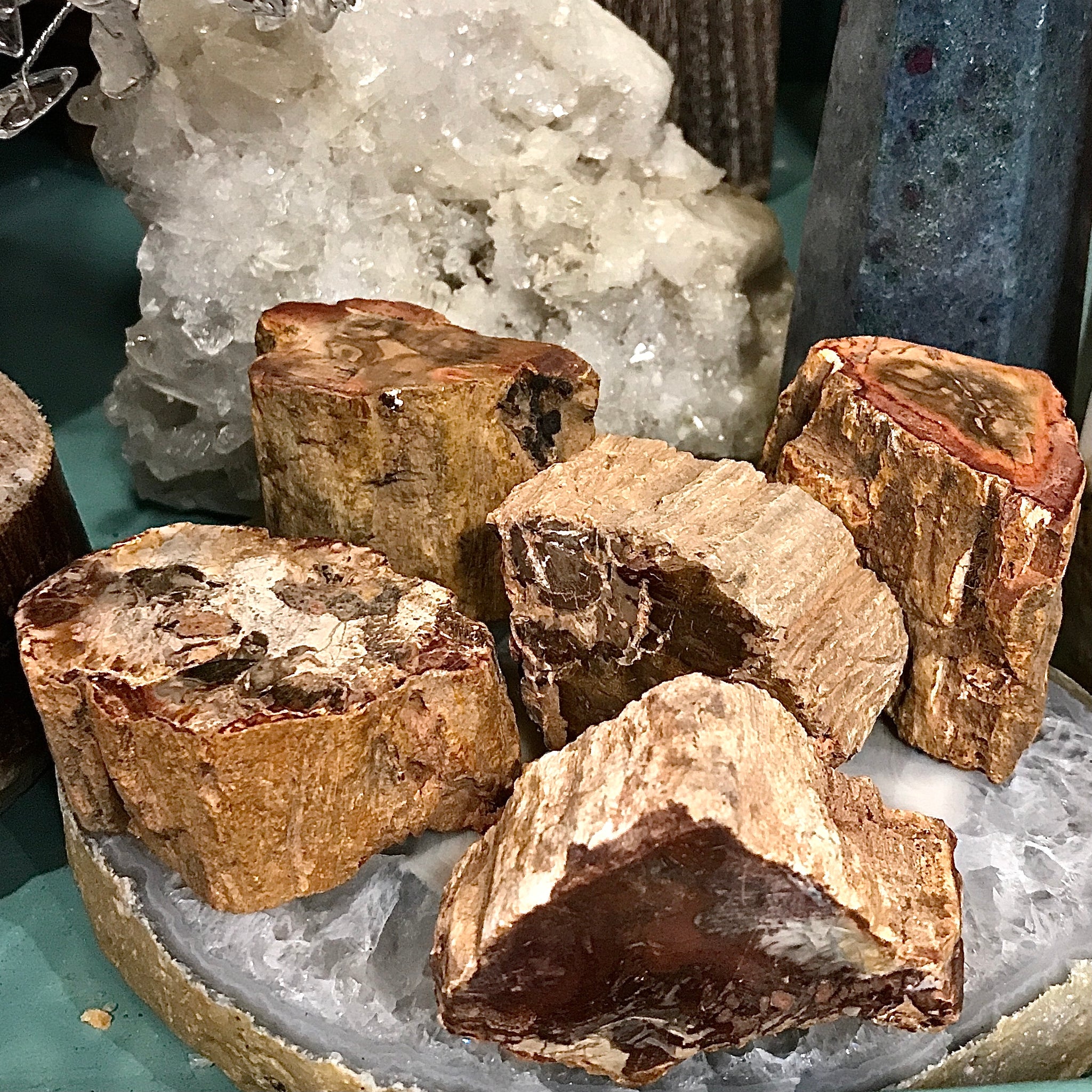 Petrified Wood Stump