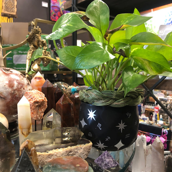 Matte Black Celestial Stars Plant Pot