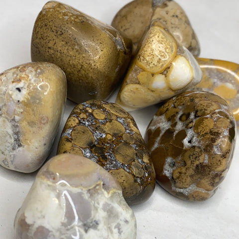 Assorted Mixed Jasper