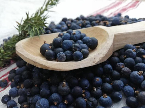 Dried Juniper Berries 1 Oz