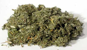 Silverweed Herb-  (Anserinae Herba) cut  1/2 oz